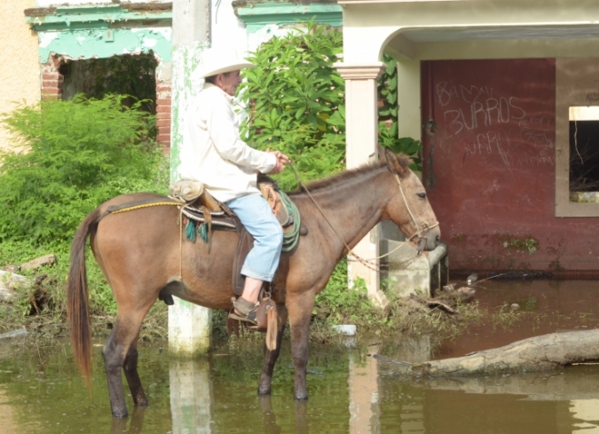 Fecha de estreno en M�xico: 24 de marzo, 2017. Documental dirigido por la joven cineasta mexicana,�Betzab� Garc�a.  - ENFILME.COM